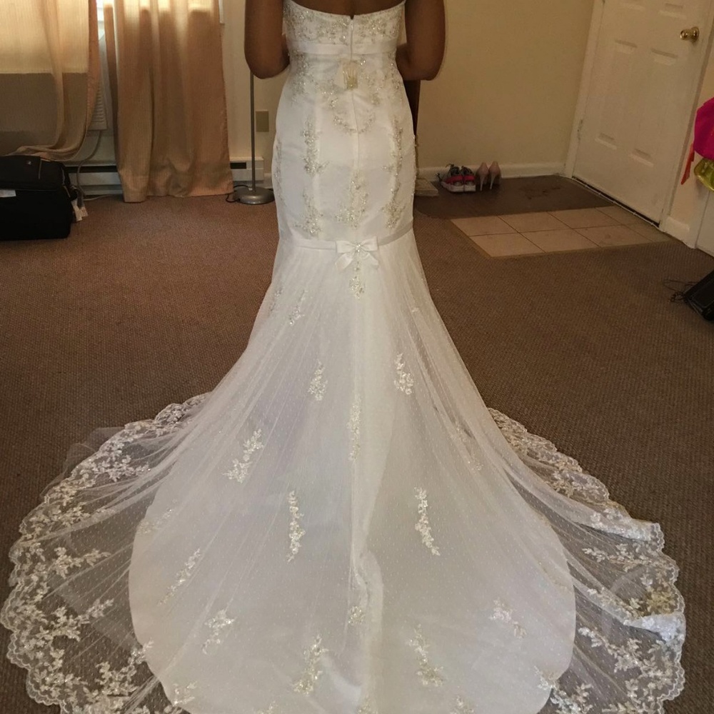David's bridal wedding dress